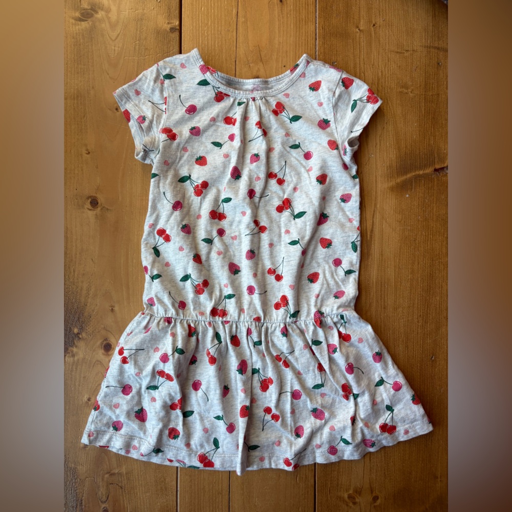 Carter's Gray Dress with Berry Print